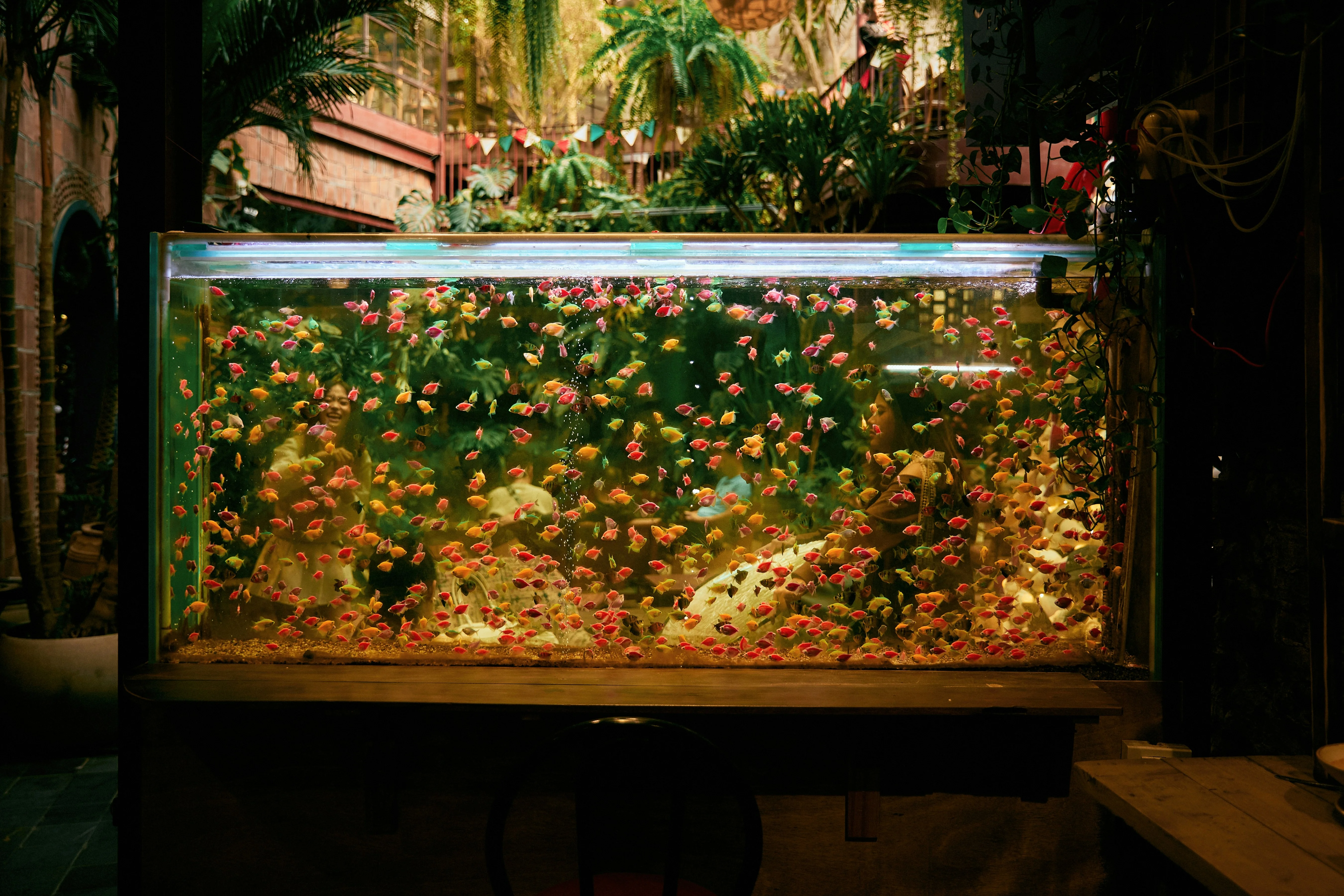 A large 75-gallon aquarium positioned against a structural concrete wall