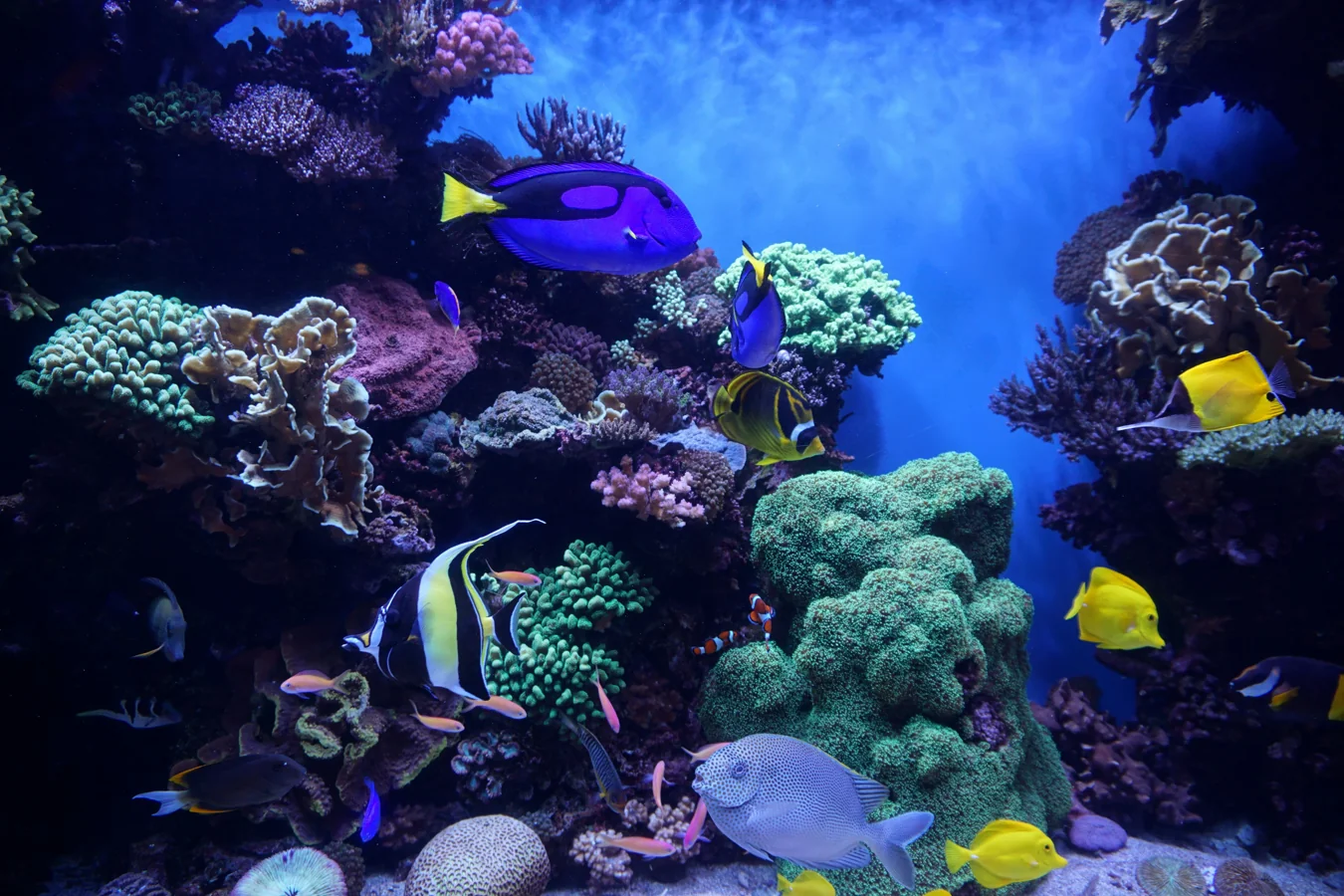 A broken aquarium on a wet floor with a fish net nearby